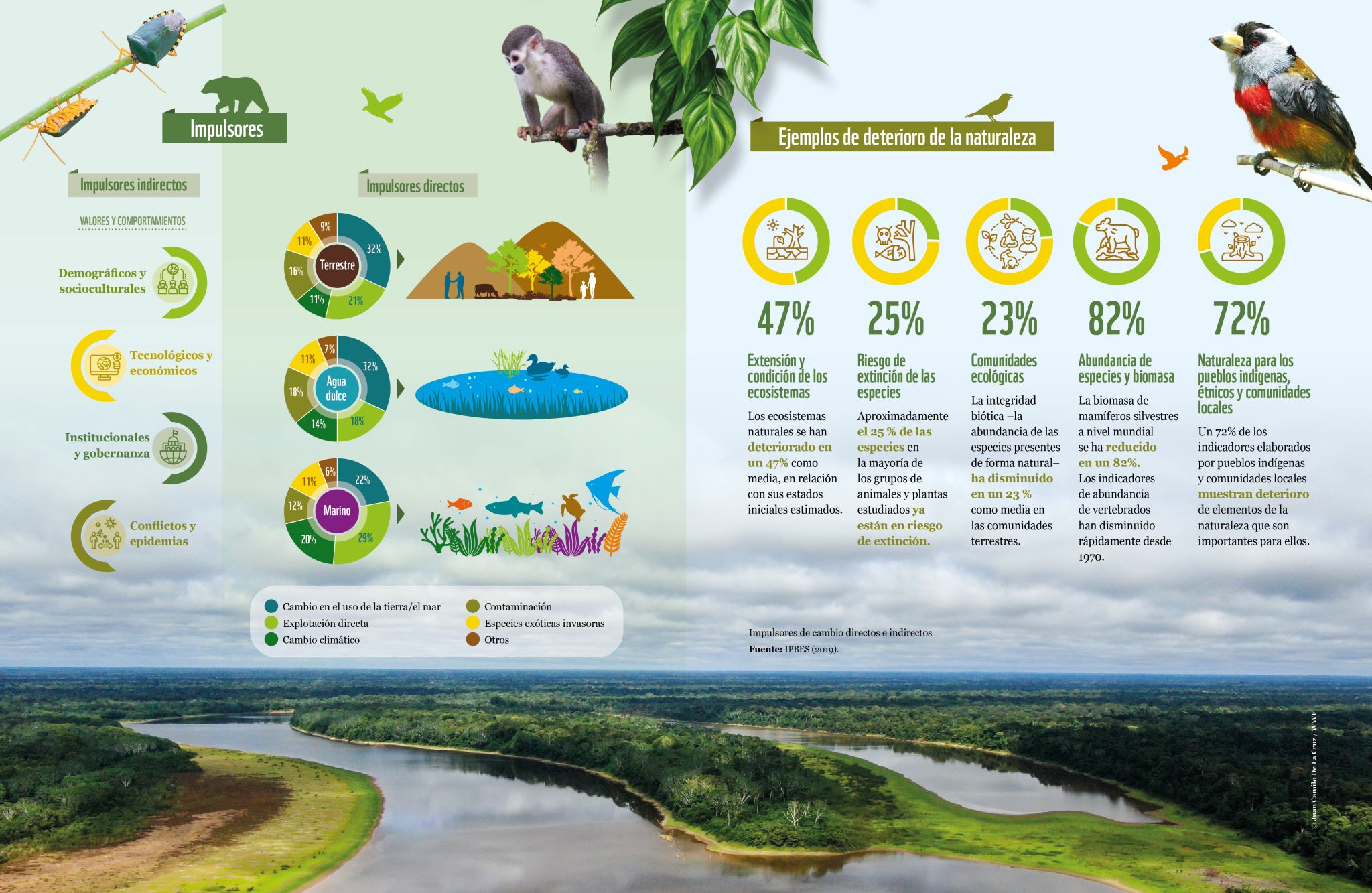 UNA SOLA OPORTUNIDAD CRUCIAL. ¿Qué significa ‘paz con la naturaleza’, el lema de la COP16 de Cali?