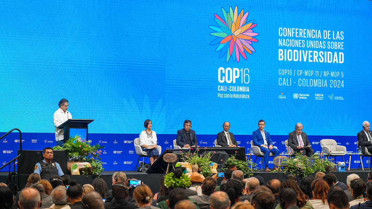 PODER PÚBLICO GOLBAL Controlar y regular. “Quisimos que el pueblo se tomara la COP 16” Presidente de Colombia Gustavo Petro durante la apertura del segmento de alto nivel de la COP 16. Presidente de Colombia Gustavo Petro Urrego, durante la COP 16 Cali Colombia. Con presencia del secretario General de la Naciones Unidas António Guterres.