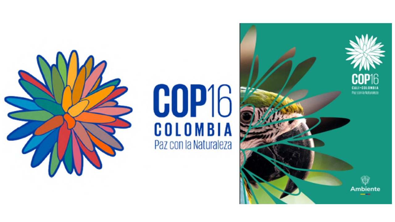 Convención Marco de Naciones Unidas sobre el Cambio Climático COLOMBIA. Cali COP 16 En la COP16, la Convención Marco de Naciones Unidas sobre el Cambio Climático, se prevé la asistencia de 196 delegaciones que asistirán a la COP16, congresistas colombianos y comunidades. Así mismo se ha confirmado la participación de 10 jefes de Estado y 14.500 personas en la zona azul.