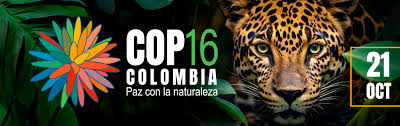 DERECHOS DE LA NATURALEZA “TODO ENTE BIOLÓGICO MERECE DERECHOS” Proteger la naturaleza y el medio ambiente por medio del derecho, ¿de qué estamos hablando exactamente? Marine Calmet.