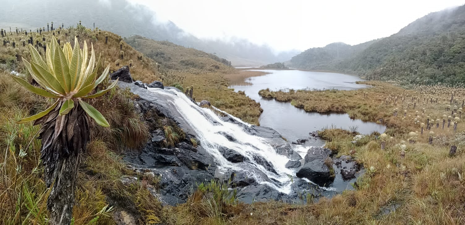 EN TODAS PARTES LOS SERES HUMANOS MENOSPRECIAMOS EL AGUA Y OFENDEMOS A RÍOS Y LAGOS, OLVIDANDO QUE EL AGUA DULCE ESTÁ ENTRE LOS MÁS ESCASOS Y PRECIADOS BIENES.