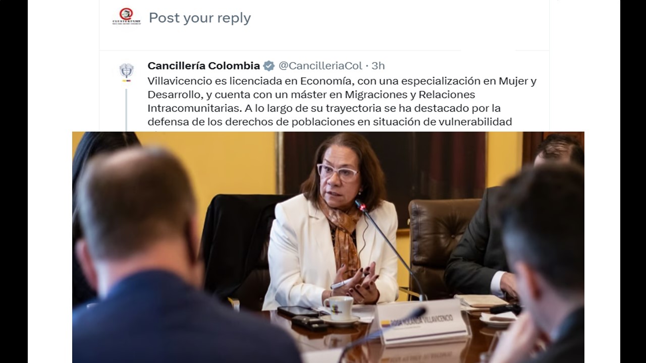 Vice Canciller de Colombia Yolanda Villavicencio.