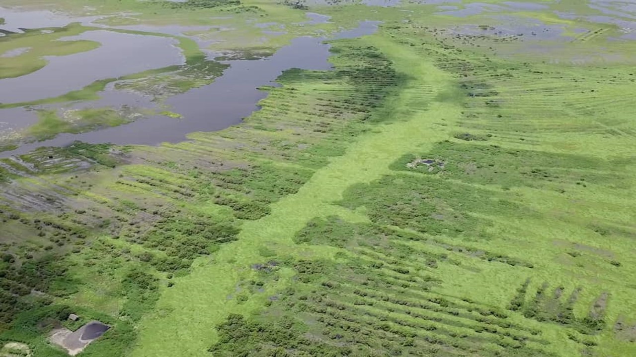 Colombia quiere declarar una nueva área arqueológica nacional: La Mojana