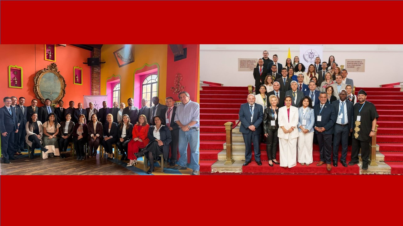 Con este encuentro internacional, se permitió la visibilidad territorial y cultural del país, puesto que Bogotá, como centro administrativo se proyectó como un escenario de diplomacia pública, permitiendo destacar su oferta cultural, turística y económica, promoviendo la generación de futuros eventos en el tema de la cooperación internacional.